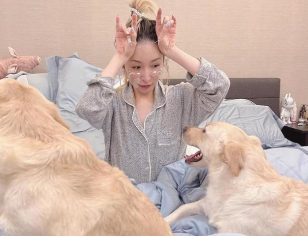 黄皓回到<a href=