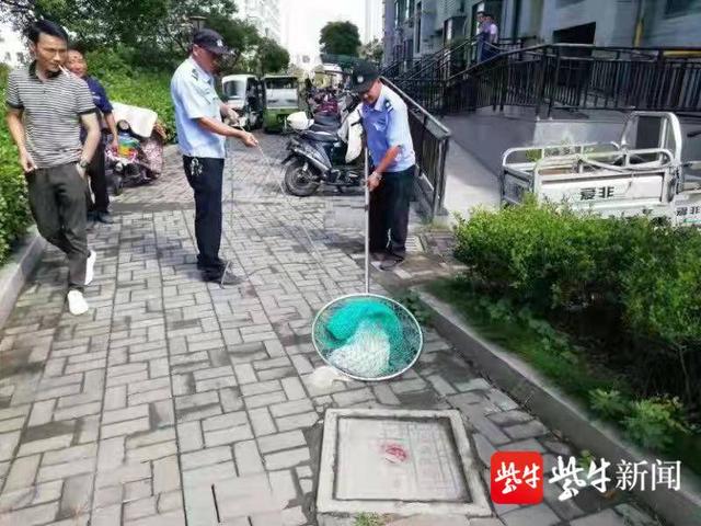 网曝小区保安吊死流浪狗,拍照片发在业主群“示众”物业经理:受主人之托休闲区蓝鸢梦想 - Www.slyday.coM 网曝小区保安吊死流浪狗,拍照片发在业主群“示众”物业经理:受主人之托休闲区蓝鸢梦想 - Www.slyday.coM