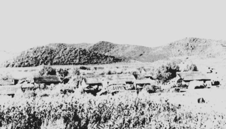 我的身份证上有她的名字!青岛也有叫这个名字的人…休闲区蓝鸢梦想 - Www.slyday.coM 我的身份证上有她的名字!青岛也有叫这个名字的人…休闲区蓝鸢梦想 - Www.slyday.coM