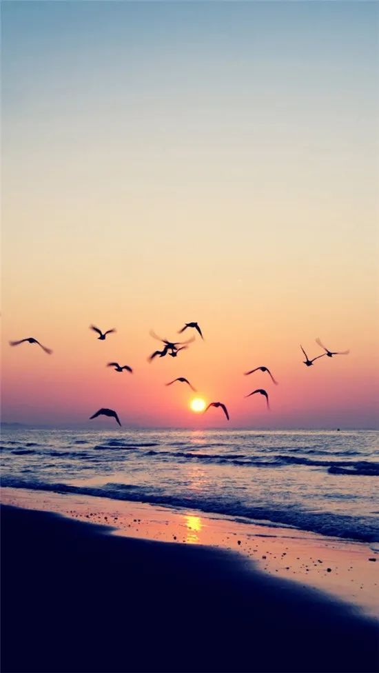 “你说你真心爱我,却偷偷去相了亲”“那都是我妈逼我的……”休闲区蓝鸢梦想 - Www.slyday.coM “你说你真心爱我,却偷偷去相了亲”“那都是我妈逼我的……”休闲区蓝鸢梦想 - Www.slyday.coM