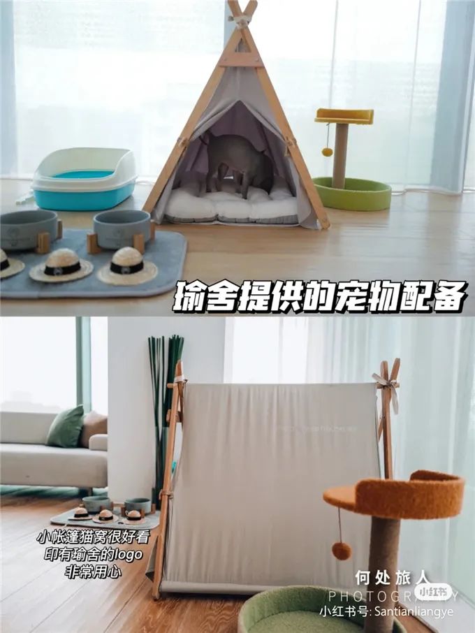 十一出行,这些能带宠物的酒店让铲屎官不再分离焦虑！
