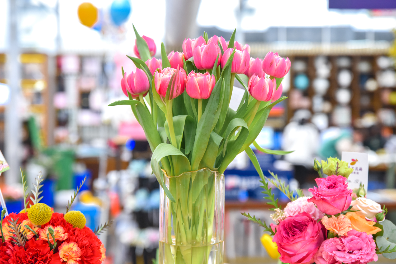 金秋十月赏花季，江浙沪网红花海景区--盐城<a href=