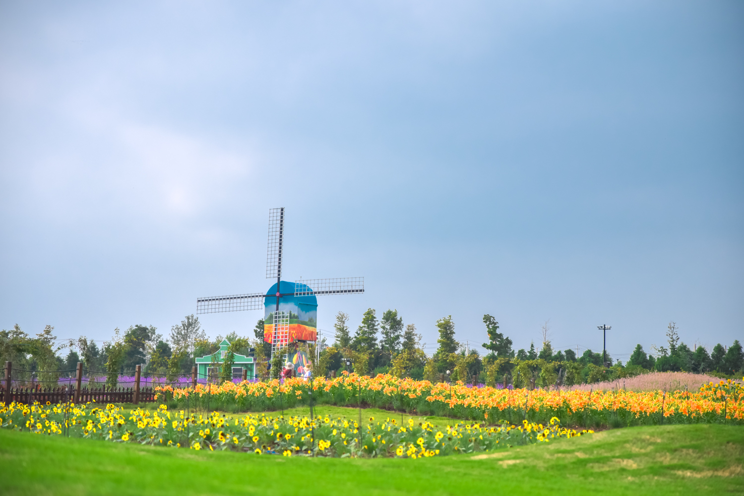 金秋十月赏花季，江浙沪网红花海景区--盐城<a href=