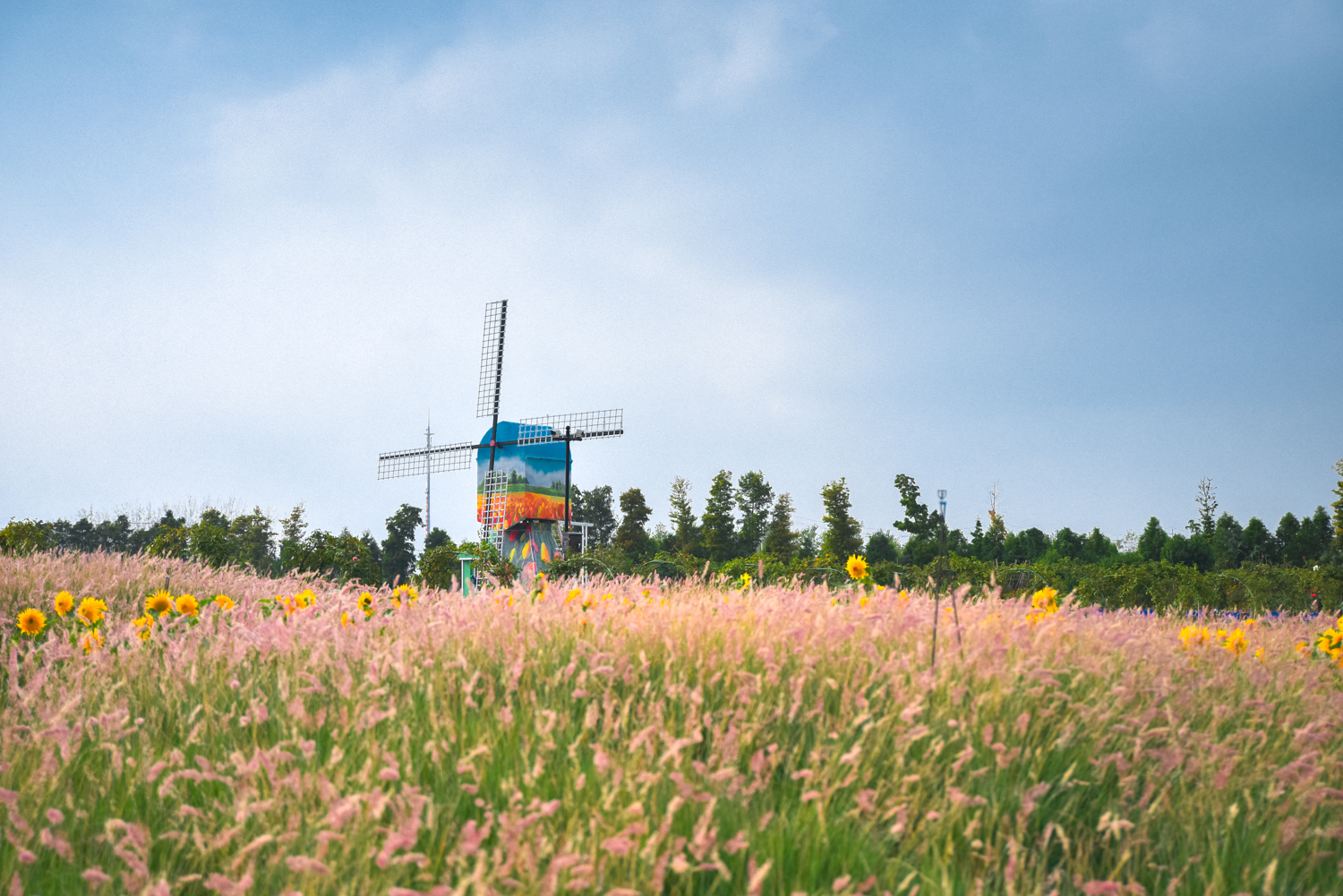 金秋十月赏花季，江浙沪网红花海景区--盐城<a href=