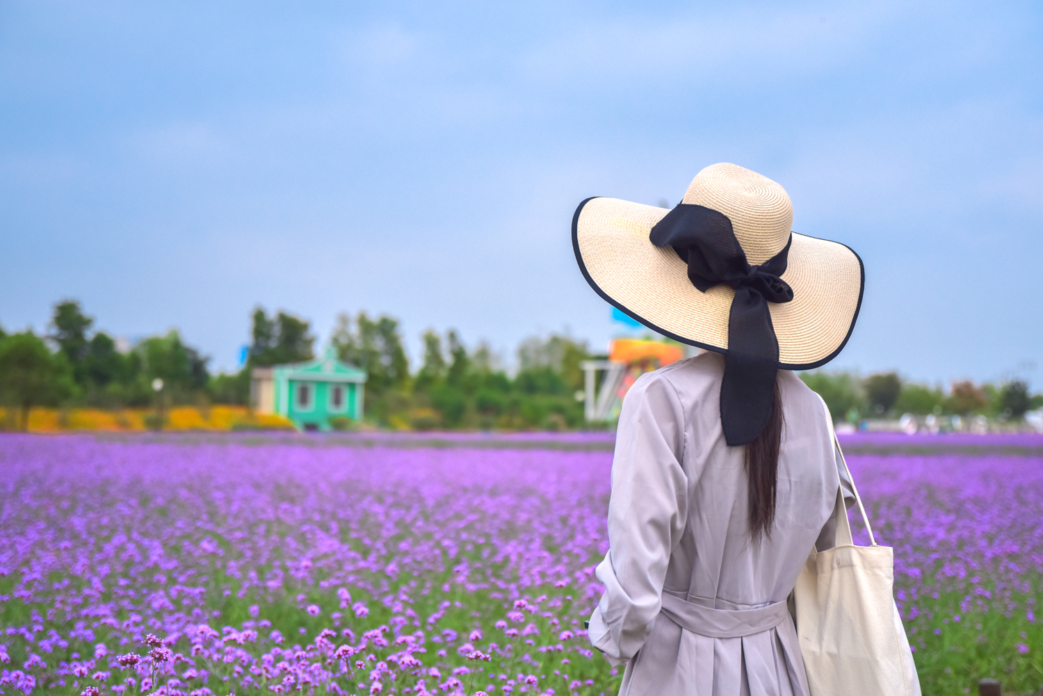 金秋十月赏花季，江浙沪网红花海景区--盐城<a href=