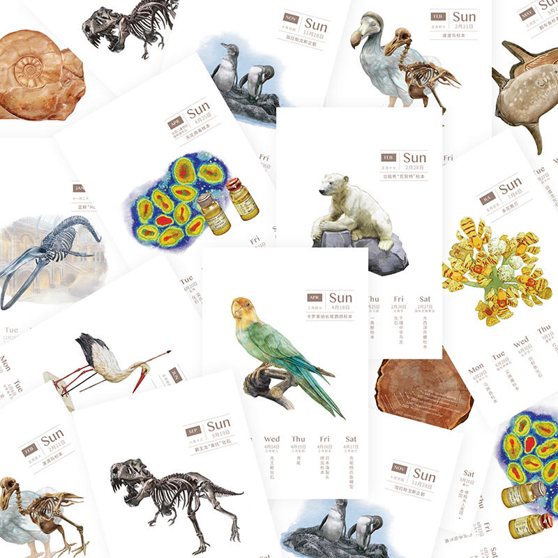 比哆啦A梦的口袋还宝藏!上万美丽贝壳等你发现休闲区蓝鸢梦想 - Www.slyday.coM 比哆啦A梦的口袋还宝藏!上万美丽贝壳等你发现休闲区蓝鸢梦想 - Www.slyday.coM