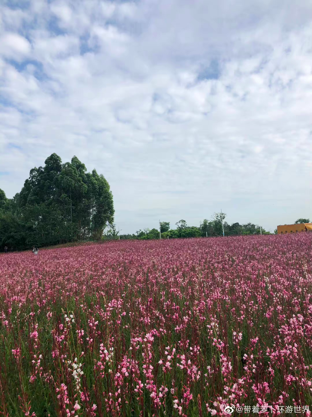 国庆朋友圈美图大赛开始,告诉你“一键滤镜”有多重要!休闲区蓝鸢梦想 - Www.slyday.coM 国庆朋友圈美图大赛开始,告诉你“一键滤镜”有多重要!休闲区蓝鸢梦想 - Www.slyday.coM