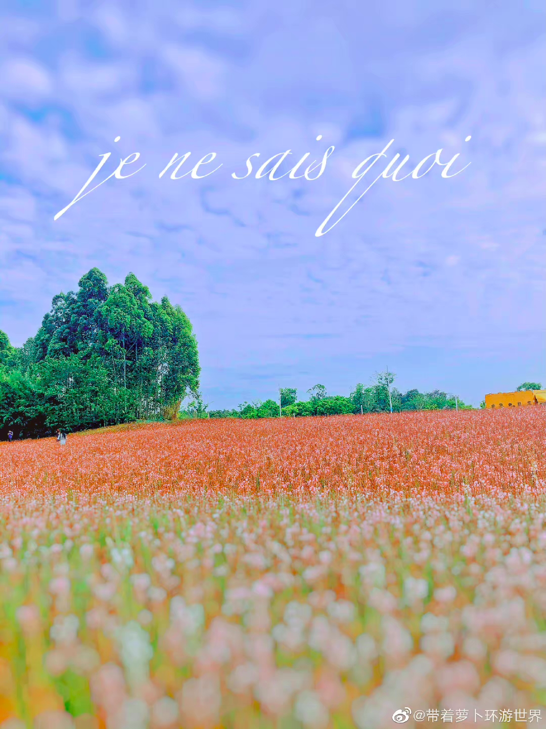 国庆朋友圈美图大赛开始,告诉你“一键滤镜”有多重要!休闲区蓝鸢梦想 - Www.slyday.coM 国庆朋友圈美图大赛开始,告诉你“一键滤镜”有多重要!休闲区蓝鸢梦想 - Www.slyday.coM