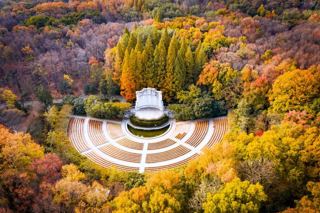 南京中山陵音乐台绚丽烂漫的秋日虽短却用一季带给我们四季的色彩你
