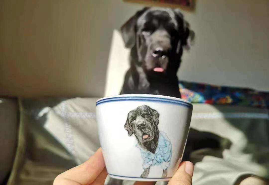 比哆啦A梦的口袋还宝藏!上万美丽贝壳等你发现休闲区蓝鸢梦想 - Www.slyday.coM 比哆啦A梦的口袋还宝藏!上万美丽贝壳等你发现休闲区蓝鸢梦想 - Www.slyday.coM