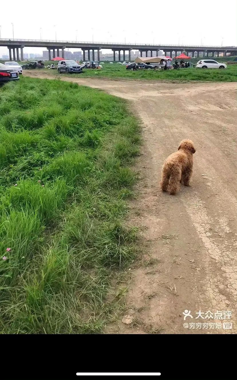 国庆朋友圈美图大赛开始,告诉你“一键滤镜”有多重要!休闲区蓝鸢梦想 - Www.slyday.coM 国庆朋友圈美图大赛开始,告诉你“一键滤镜”有多重要!休闲区蓝鸢梦想 - Www.slyday.coM
