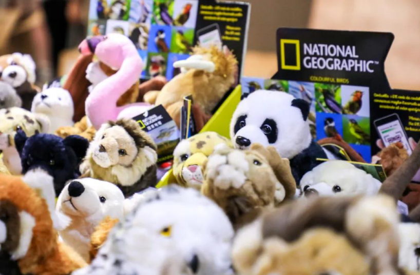 比哆啦A梦的口袋还宝藏!上万美丽贝壳等你发现休闲区蓝鸢梦想 - Www.slyday.coM 比哆啦A梦的口袋还宝藏!上万美丽贝壳等你发现休闲区蓝鸢梦想 - Www.slyday.coM