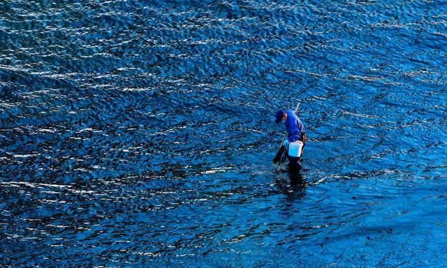 潜水海底捕鱼收获满满啊