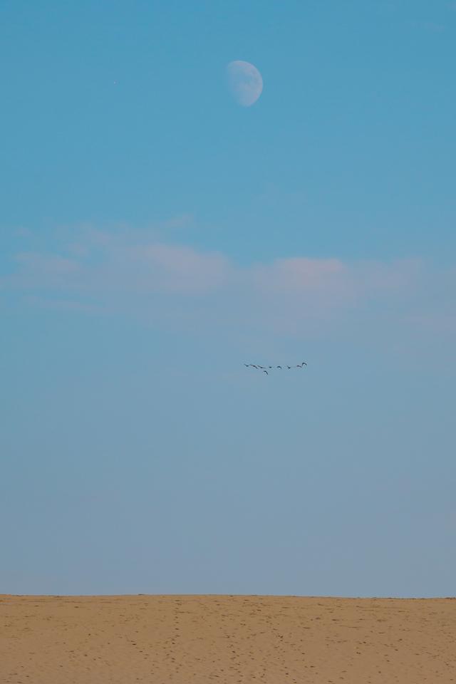 沙湖边的超级网红酒店,住在蛋里是什么样的体验休闲区蓝鸢梦想 - Www.slyday.coM 沙湖边的超级网红酒店,住在蛋里是什么样的体验休闲区蓝鸢梦想 - Www.slyday.coM