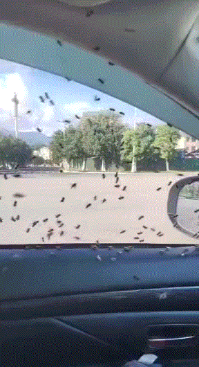 一张图告诉你,皮肤的重要性(761期)休闲区蓝鸢梦想 - Www.slyday.coM 一张图告诉你,皮肤的重要性(761期)休闲区蓝鸢梦想 - Www.slyday.coM