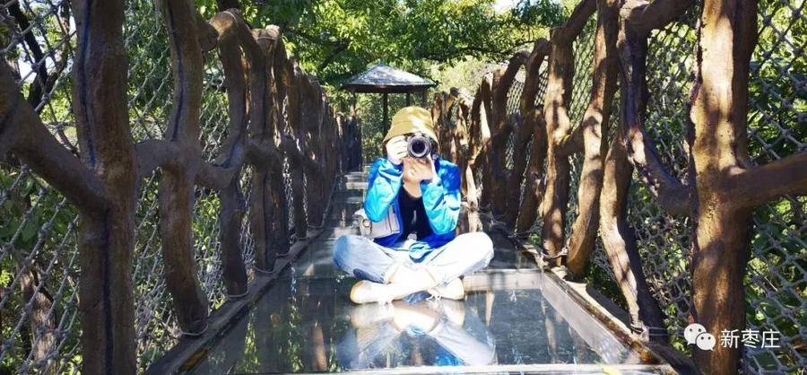 飞跃森林、漫步树冠...十一假期出行怎么能少了“天下第一崮”休闲区蓝鸢梦想 - Www.slyday.coM 飞跃森林、漫步树冠...十一假期出行怎么能少了“天下第一崮”休闲区蓝鸢梦想 - Www.slyday.coM