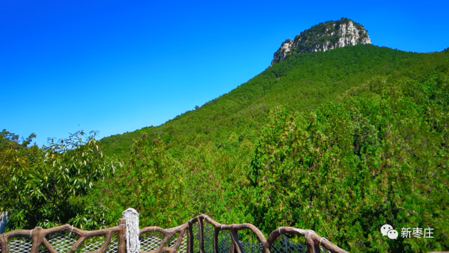 飞跃森林、漫步树冠...十一假期出行怎么能少了“天下第一崮”休闲区蓝鸢梦想 - Www.slyday.coM 飞跃森林、漫步树冠...十一假期出行怎么能少了“天下第一崮”休闲区蓝鸢梦想 - Www.slyday.coM