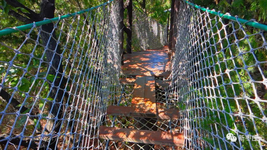 飞跃森林、漫步树冠...十一假期出行怎么能少了“天下第一崮”休闲区蓝鸢梦想 - Www.slyday.coM 飞跃森林、漫步树冠...十一假期出行怎么能少了“天下第一崮”休闲区蓝鸢梦想 - Www.slyday.coM