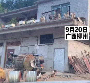 一张图告诉你,皮肤的重要性(761期)休闲区蓝鸢梦想 - Www.slyday.coM 一张图告诉你,皮肤的重要性(761期)休闲区蓝鸢梦想 - Www.slyday.coM