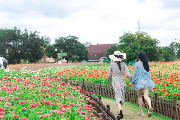 金秋时节，掉进<a href=