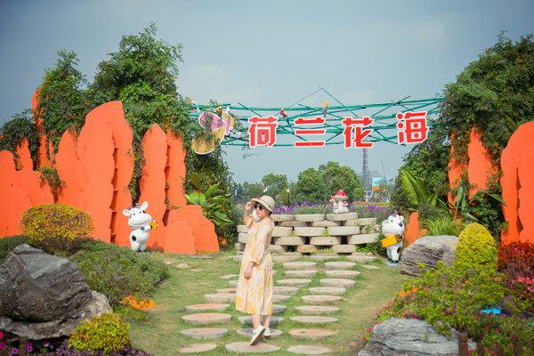 金秋时节，掉进<a href=