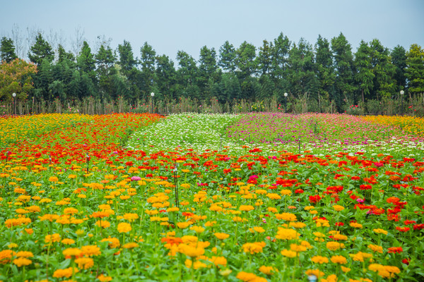 金秋时节，掉进<a href=