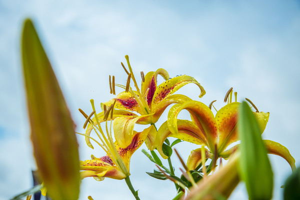 金秋时节，掉进<a href=