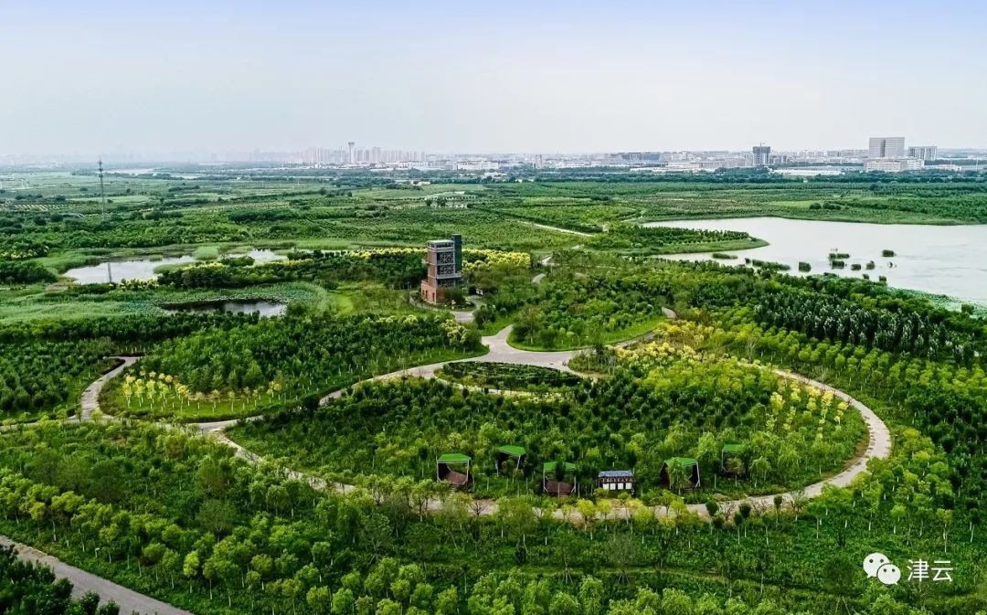 “十一”假期烟雨津城,这些景色绝了!休闲区蓝鸢梦想 - Www.slyday.coM “十一”假期烟雨津城,这些景色绝了!休闲区蓝鸢梦想 - Www.slyday.coM