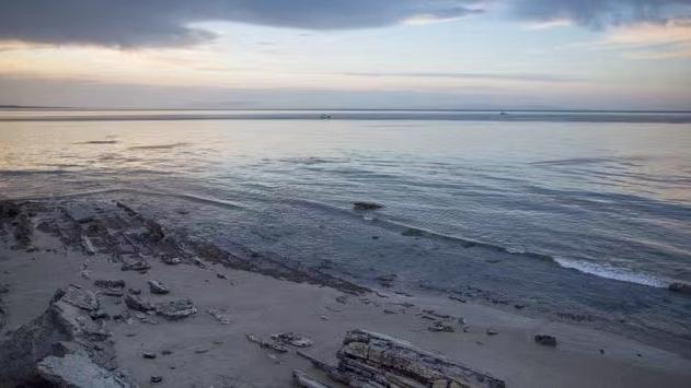 美国南加州海岸发生重大石油泄漏事故 约3000桶原油从海上钻井平台溢出休闲区蓝鸢梦想 - Www.slyday.coM 美国南加州海岸发生重大石油泄漏事故 约3000桶原油从海上钻井平台溢出休闲区蓝鸢梦想 - Www.slyday.coM