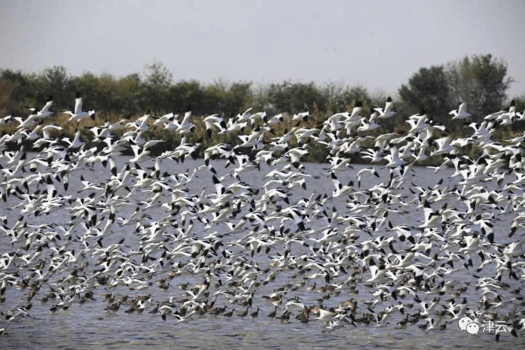 “十一”假期烟雨津城,这些景色绝了!休闲区蓝鸢梦想 - Www.slyday.coM “十一”假期烟雨津城,这些景色绝了!休闲区蓝鸢梦想 - Www.slyday.coM