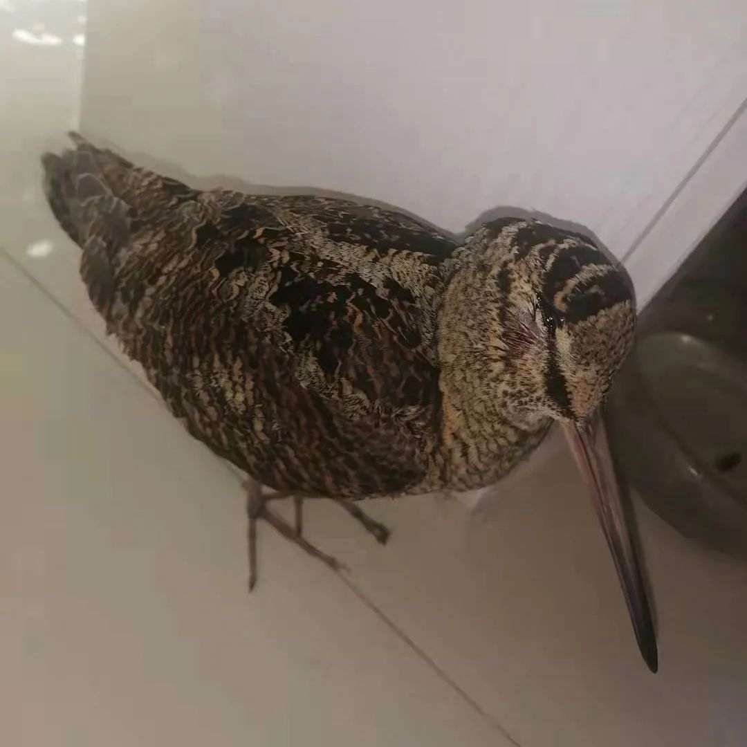 固原男子深夜酒后回家,在小区门口发现斑斑血迹…休闲区蓝鸢梦想 - Www.slyday.coM 固原男子深夜酒后回家,在小区门口发现斑斑血迹…休闲区蓝鸢梦想 - Www.slyday.coM