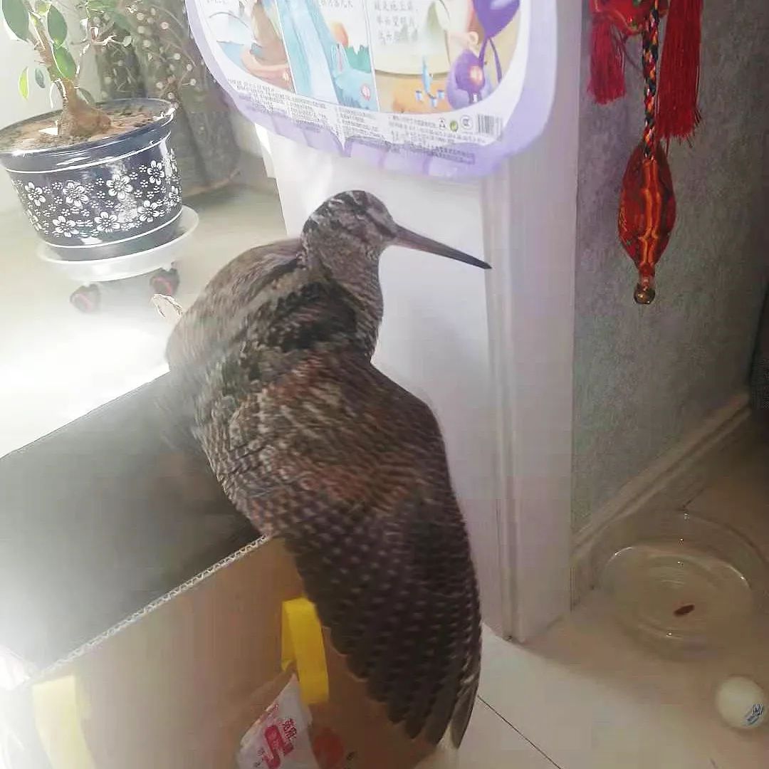 固原男子深夜酒后回家,在小区门口发现斑斑血迹…休闲区蓝鸢梦想 - Www.slyday.coM 固原男子深夜酒后回家,在小区门口发现斑斑血迹…休闲区蓝鸢梦想 - Www.slyday.coM