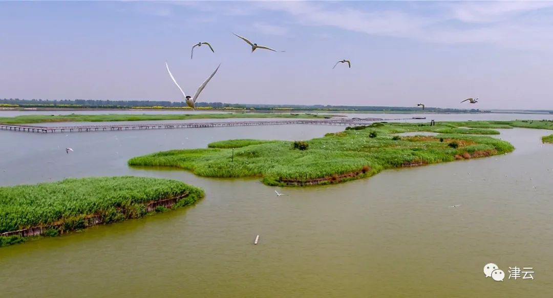 “十一”假期烟雨津城,这些景色绝了!休闲区蓝鸢梦想 - Www.slyday.coM “十一”假期烟雨津城,这些景色绝了!休闲区蓝鸢梦想 - Www.slyday.coM