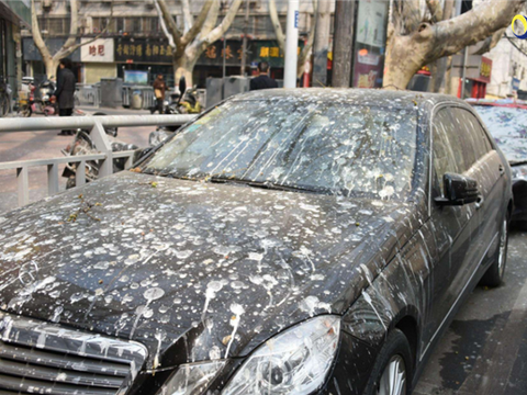 广州嘉普力汽配工场教你巧妙去除车辆表面污渍