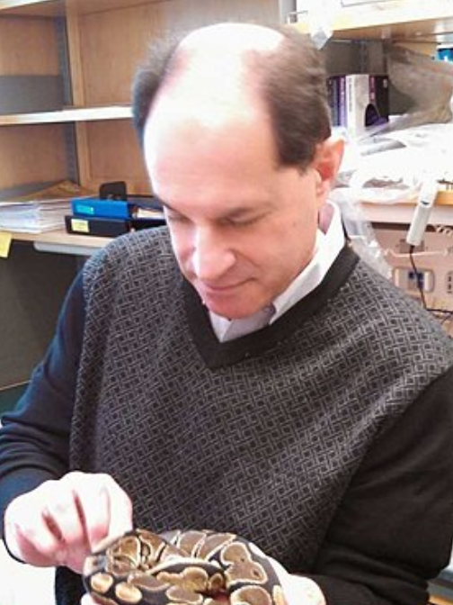 揭晓了!2021年诺贝尔生理学或医学奖休闲区蓝鸢梦想 - Www.slyday.coM 揭晓了!2021年诺贝尔生理学或医学奖休闲区蓝鸢梦想 - Www.slyday.coM