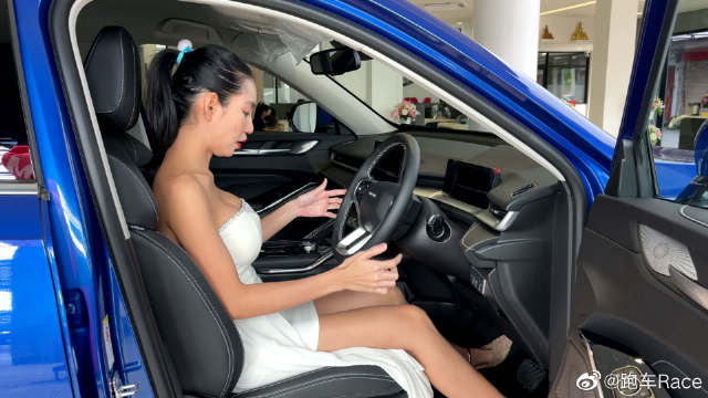 全新哈佛H6 Hybrid HEV Pro