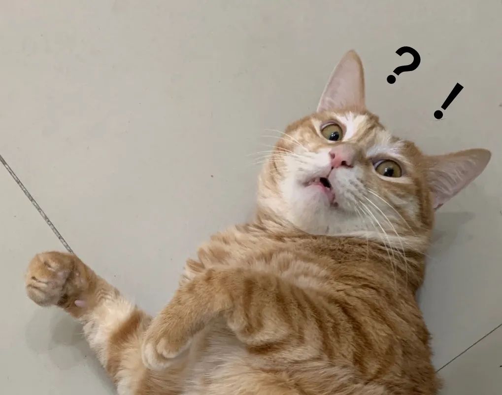 多地紧急寻人!河南通报一密接者轨迹,所乘高铁终点为北京!休闲区蓝鸢梦想 - Www.slyday.coM 多地紧急寻人!河南通报一密接者轨迹,所乘高铁终点为北京!休闲区蓝鸢梦想 - Www.slyday.coM