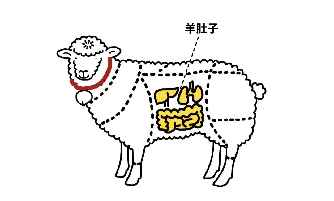 凭啥!没有一只羊能活着走出北京?休闲区蓝鸢梦想 - Www.slyday.coM 凭啥!没有一只羊能活着走出北京?休闲区蓝鸢梦想 - Www.slyday.coM