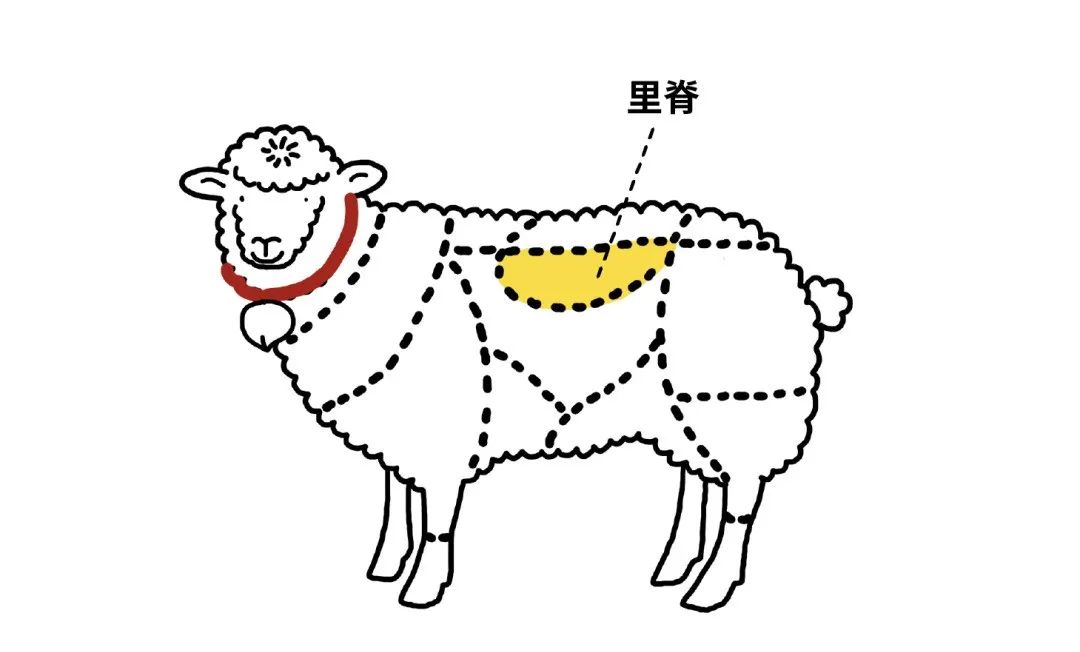 凭啥!没有一只羊能活着走出北京?休闲区蓝鸢梦想 - Www.slyday.coM 凭啥!没有一只羊能活着走出北京?休闲区蓝鸢梦想 - Www.slyday.coM