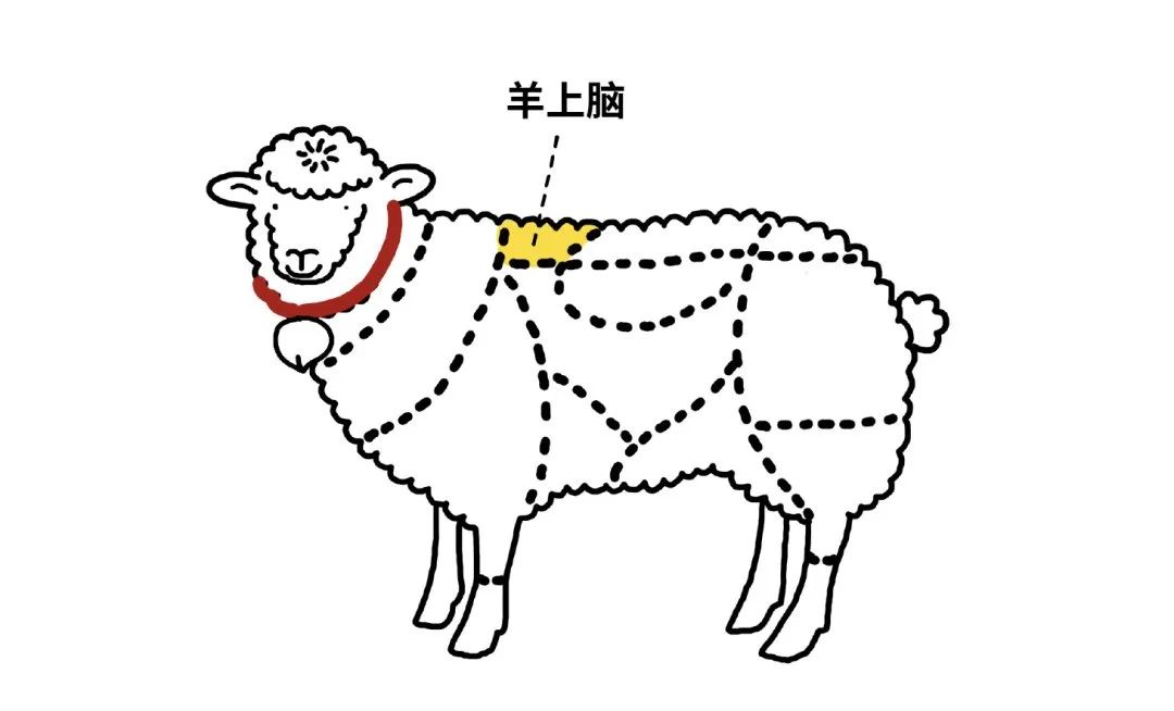 凭啥!没有一只羊能活着走出北京?休闲区蓝鸢梦想 - Www.slyday.coM 凭啥!没有一只羊能活着走出北京?休闲区蓝鸢梦想 - Www.slyday.coM