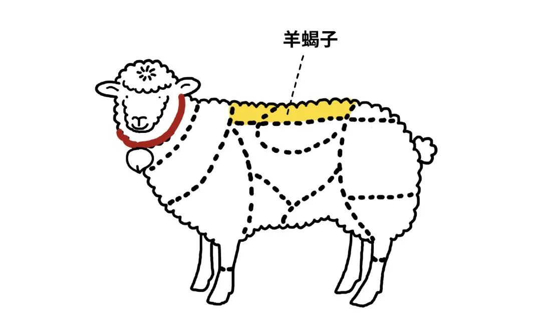 凭啥!没有一只羊能活着走出北京?休闲区蓝鸢梦想 - Www.slyday.coM 凭啥!没有一只羊能活着走出北京?休闲区蓝鸢梦想 - Www.slyday.coM