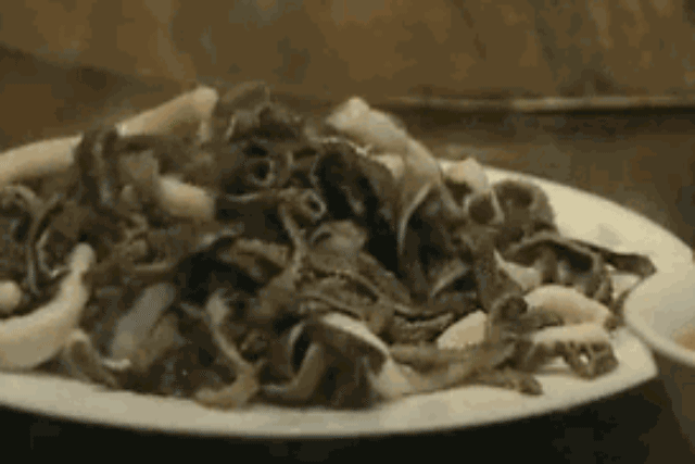 凭啥!没有一只羊能活着走出北京?休闲区蓝鸢梦想 - Www.slyday.coM 凭啥!没有一只羊能活着走出北京?休闲区蓝鸢梦想 - Www.slyday.coM