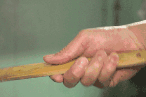 凭啥!没有一只羊能活着走出北京?休闲区蓝鸢梦想 - Www.slyday.coM 凭啥!没有一只羊能活着走出北京?休闲区蓝鸢梦想 - Www.slyday.coM