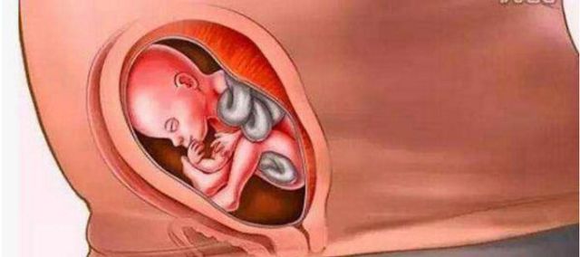 胎宝宝在子宫里面已经开始大闹天宫了,妈妈每天都能感受到活跃的胎儿