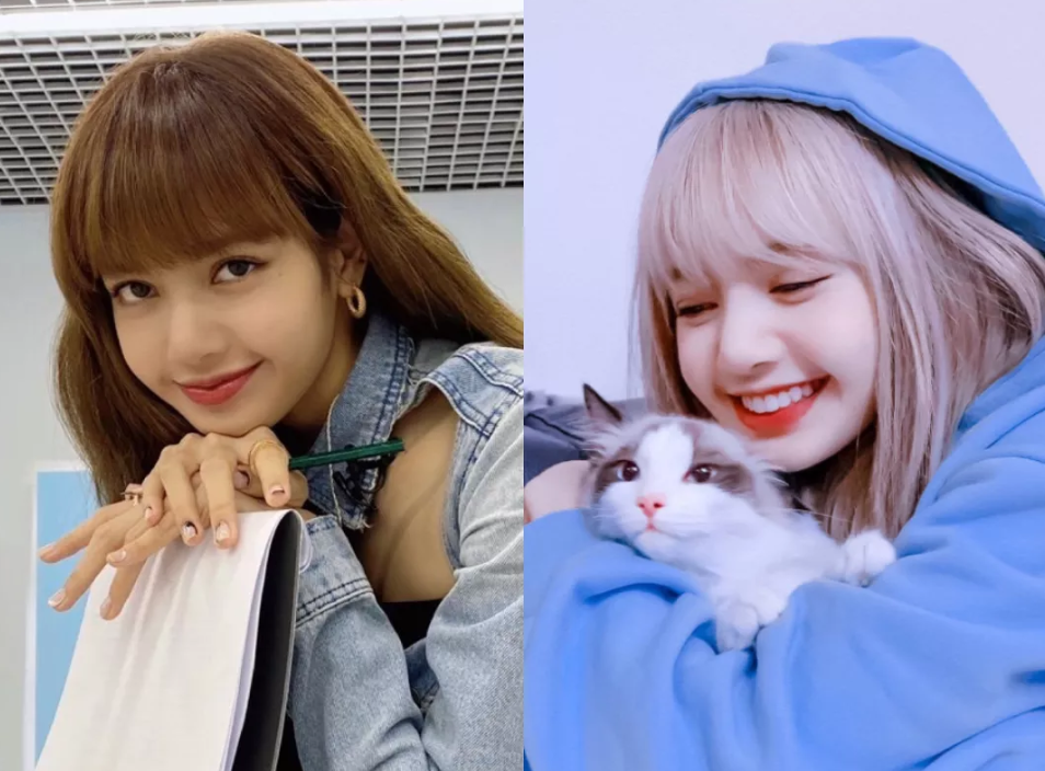 为什么Lisa的颜在全球美貌好评度高，在<a href=