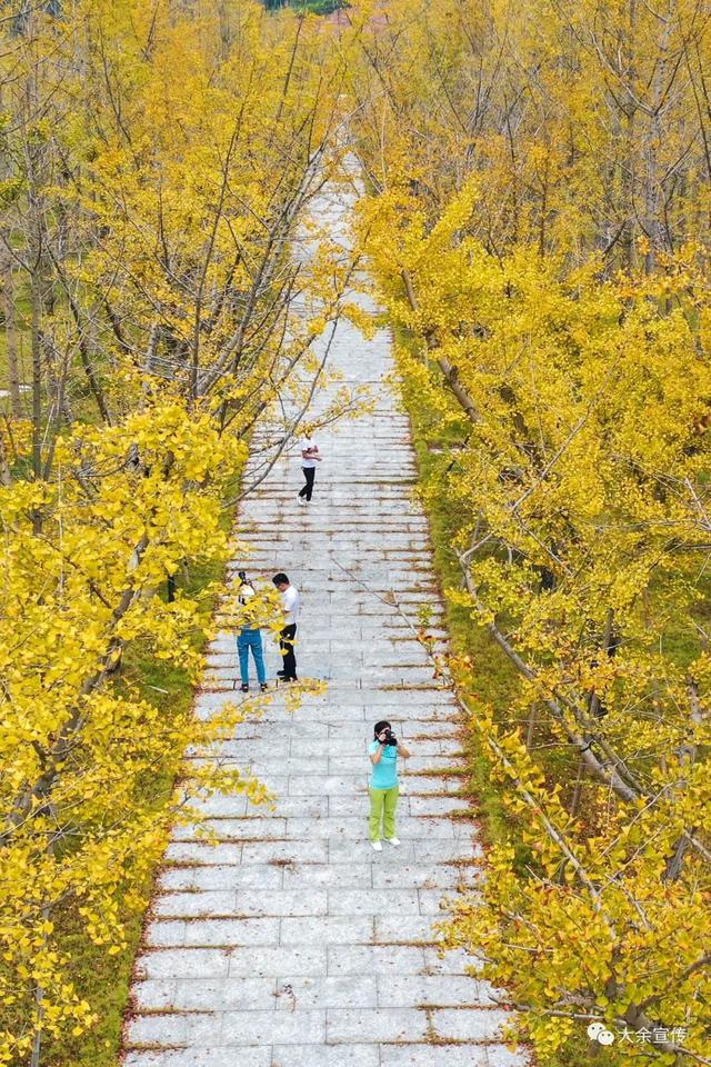 假期最后一天去哪玩?别纠结,赣州这些地方走起!休闲区蓝鸢梦想 - Www.slyday.coM 假期最后一天去哪玩?别纠结,赣州这些地方走起!休闲区蓝鸢梦想 - Www.slyday.coM