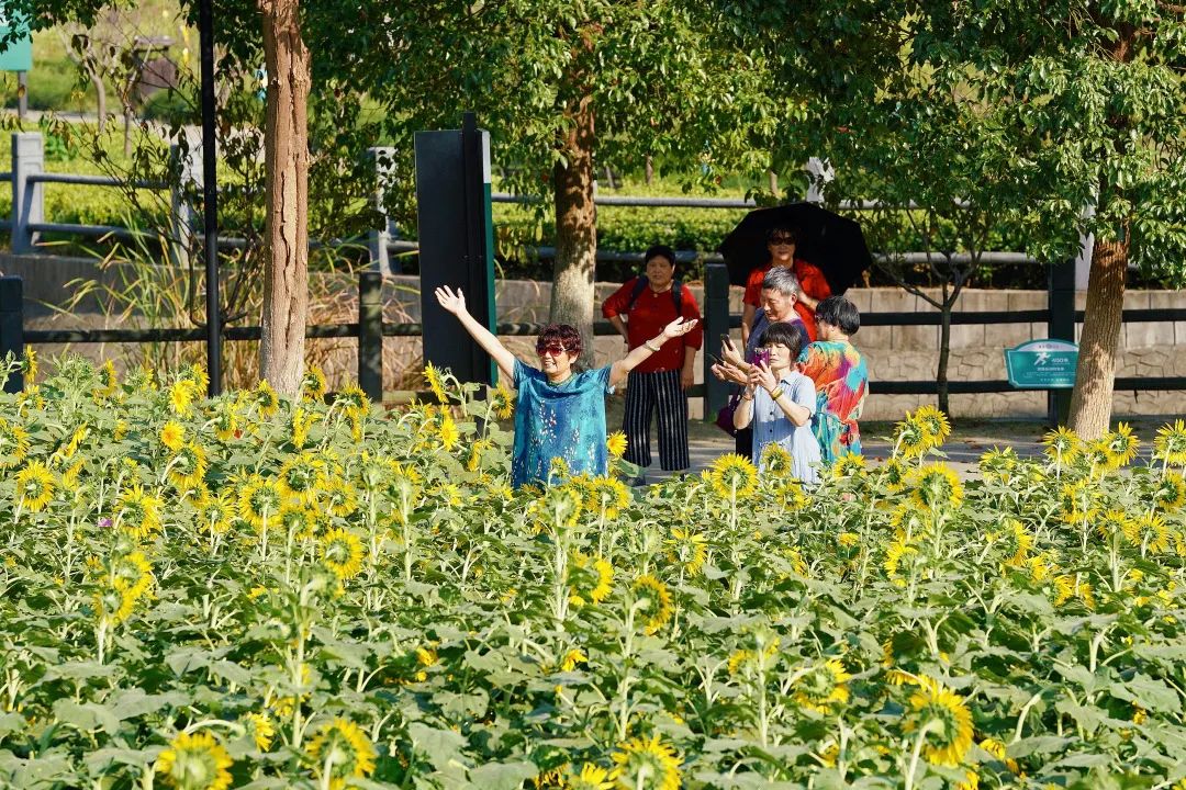 这里有你的国庆吗?休闲区蓝鸢梦想 - Www.slyday.coM 这里有你的国庆吗?休闲区蓝鸢梦想 - Www.slyday.coM