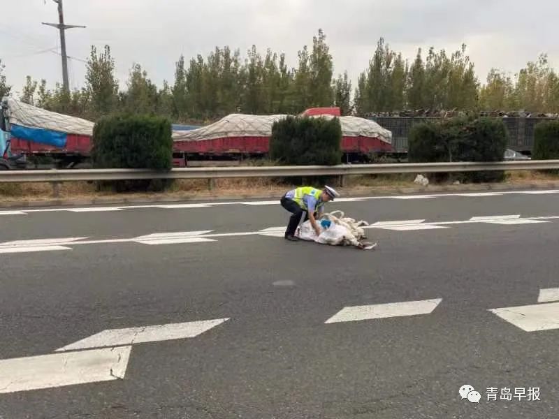 这是李涌生前留下的最后一个夜巡视频…早报记者独家跟访休闲区蓝鸢梦想 - Www.slyday.coM 这是李涌生前留下的最后一个夜巡视频…早报记者独家跟访休闲区蓝鸢梦想 - Www.slyday.coM