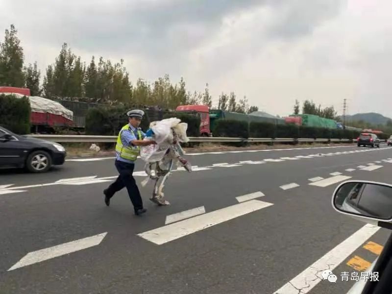 这是李涌生前留下的最后一个夜巡视频…早报记者独家跟访休闲区蓝鸢梦想 - Www.slyday.coM 这是李涌生前留下的最后一个夜巡视频…早报记者独家跟访休闲区蓝鸢梦想 - Www.slyday.coM