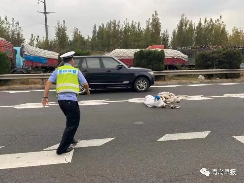 这是李涌生前留下的最后一个夜巡视频…早报记者独家跟访休闲区蓝鸢梦想 - Www.slyday.coM 这是李涌生前留下的最后一个夜巡视频…早报记者独家跟访休闲区蓝鸢梦想 - Www.slyday.coM